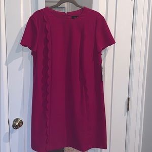 🆕Tahari Magenta Size 12 Short Sleeve Dress